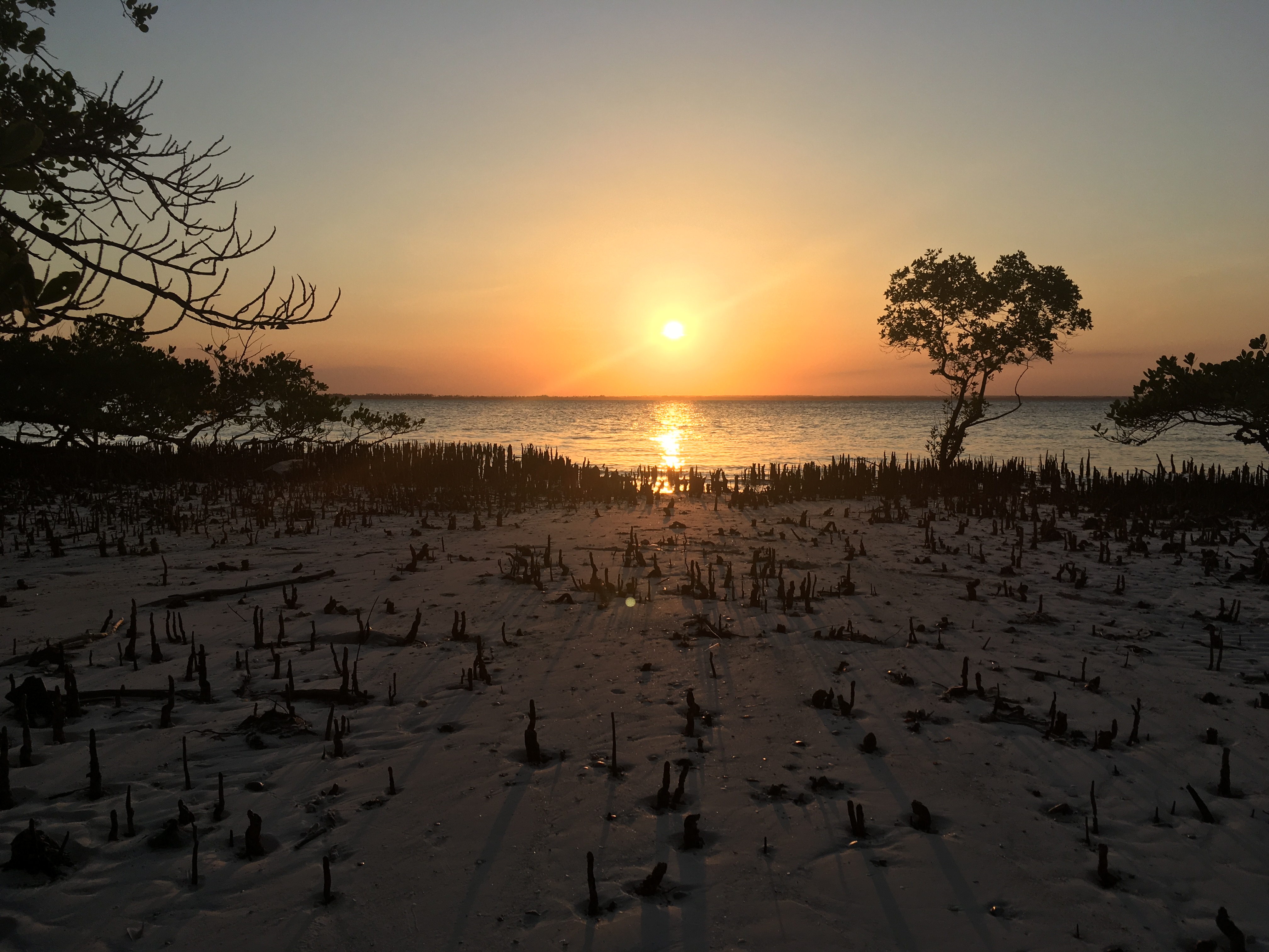 Trauerfeier Umgebung